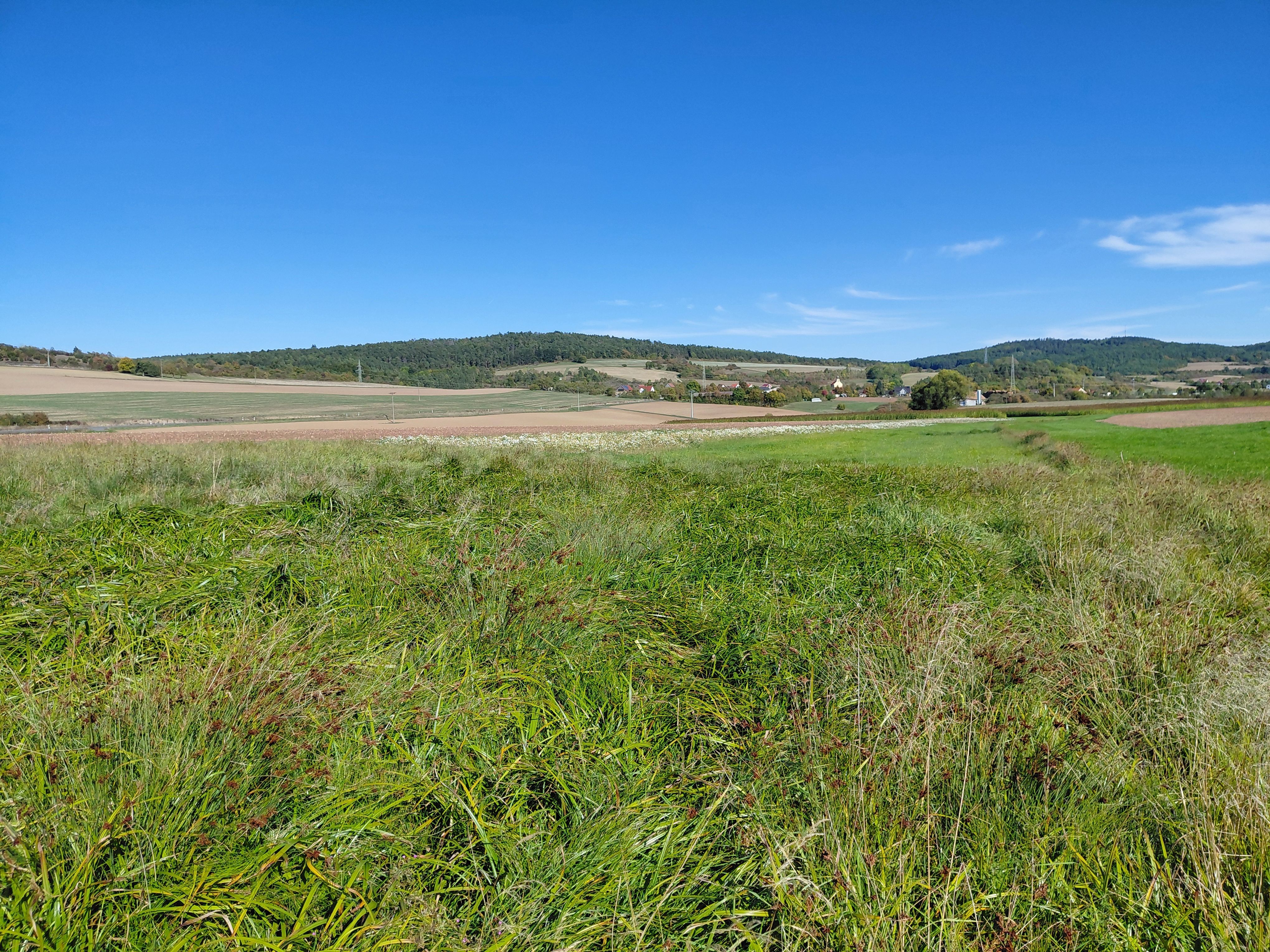 Grasbewachsene Fläche mit leicht unebenem Boden in einer offenen Landschaft vor Feldern und bewaldeten Hügeln unter blauem Himmel