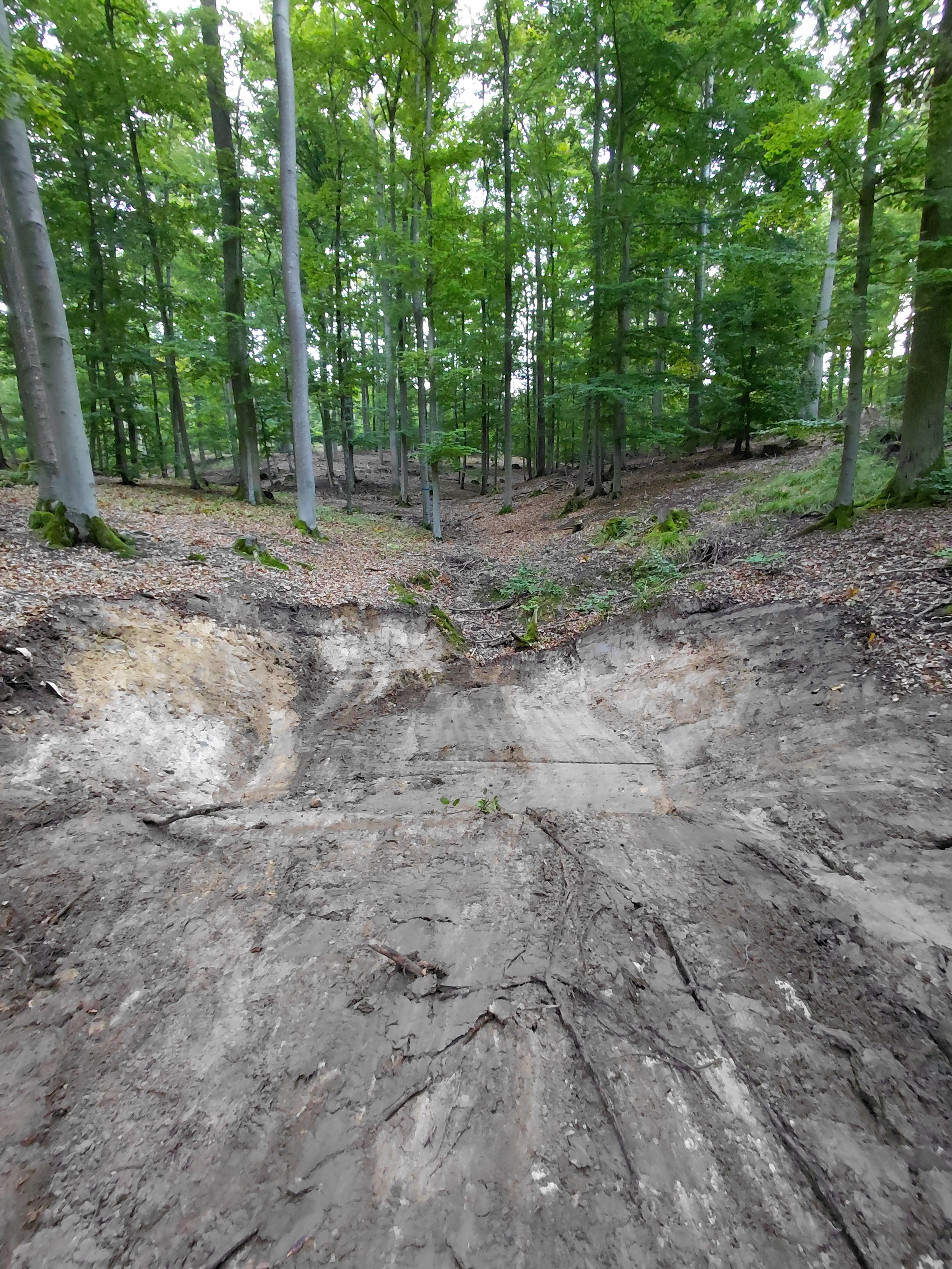 Ausgebreiteter, ausgehobener Graben im Wald mit erodiertem Boden und Bäumen im Hintergrund