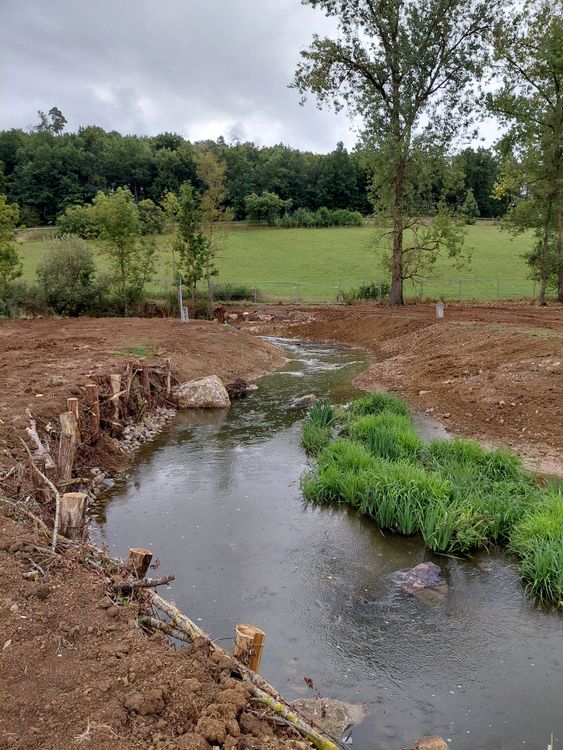 Bach mit frischem Erdreich an den Ufern und grünen Pflanzen im Wasser vor einer Wiese und Baumreihe unter bewölktem Himmel