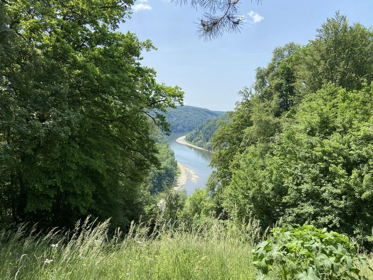Blick durch hohe Bäume und Wiesen auf einen mäandrierenden Fluss in einem bewaldeten Tal