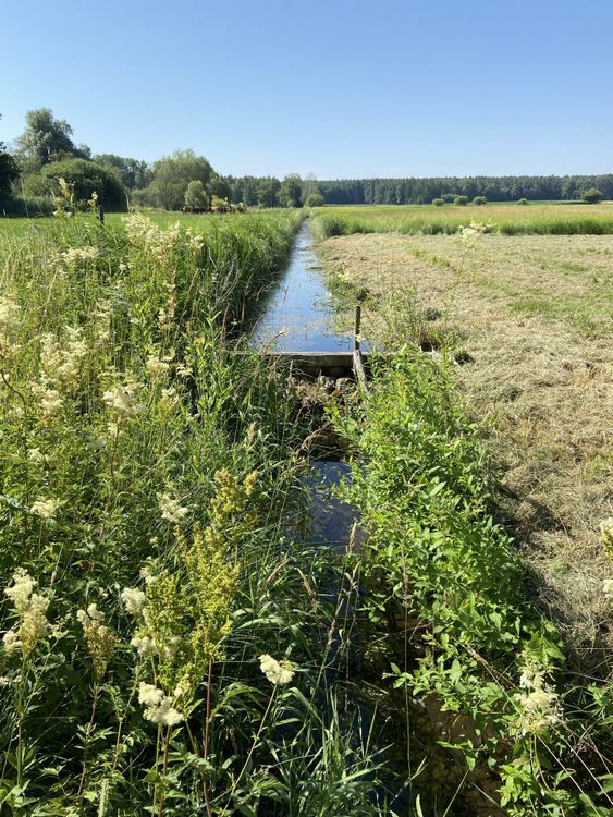Langer, schmaler Wassergraben mit Wasser, umgeben von hohem Gras und Feldern unter blauem Himmel