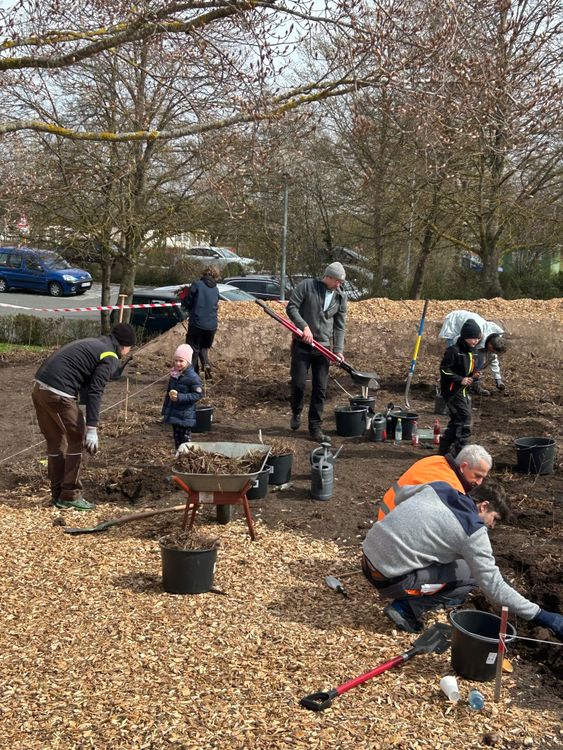 Mehrere Personen pflanzen Bäume für einen urbanen Wildobstwald in Neustadt an der Aisch